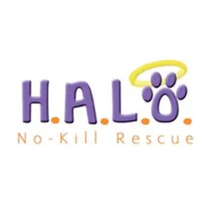halo.jpg